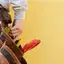 Handyman repair service in Fargo, ND for home fixes and improvements